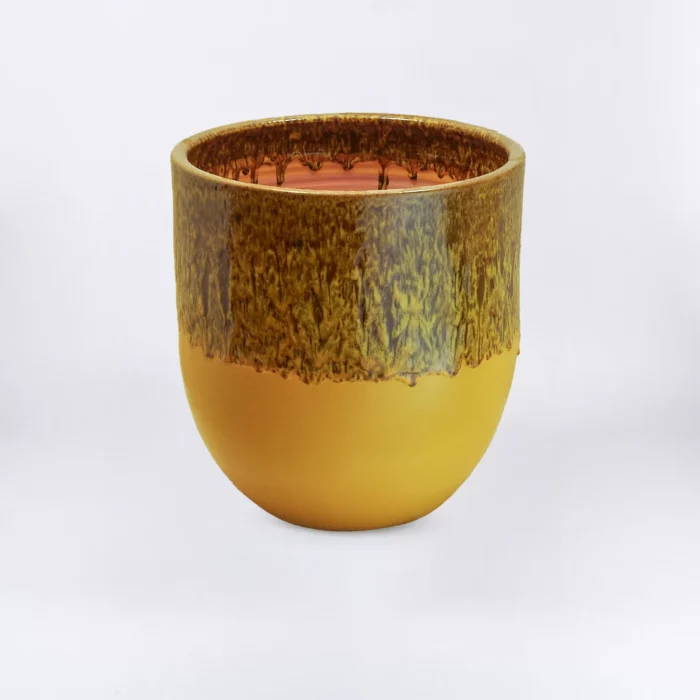YELLOW BROWN SIMPLE YASMINE – Image 1